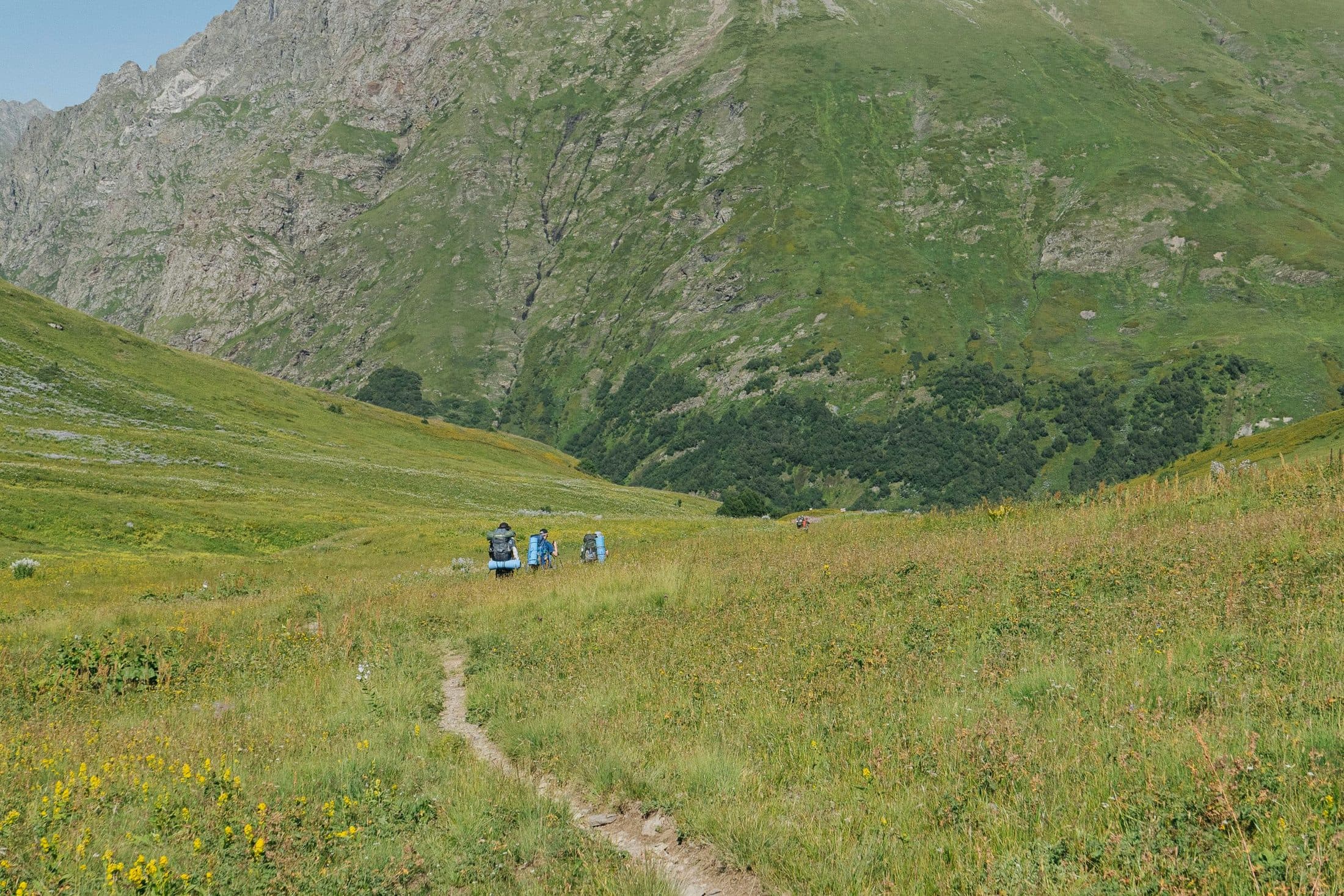 Walkers following a footpath through a sunlit green mountain meadow