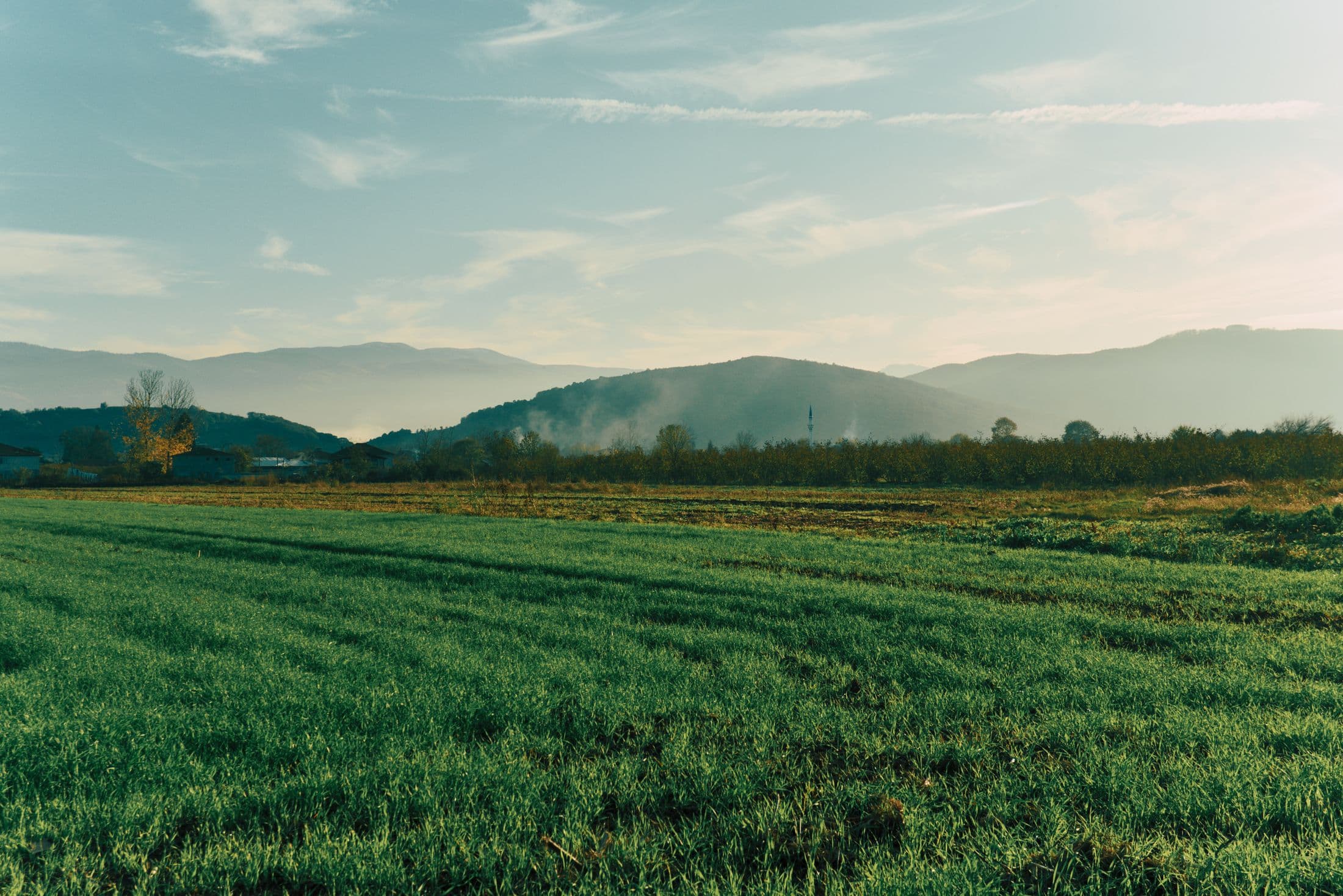 A lush green field in the foreground with wooded hills and mountains behind