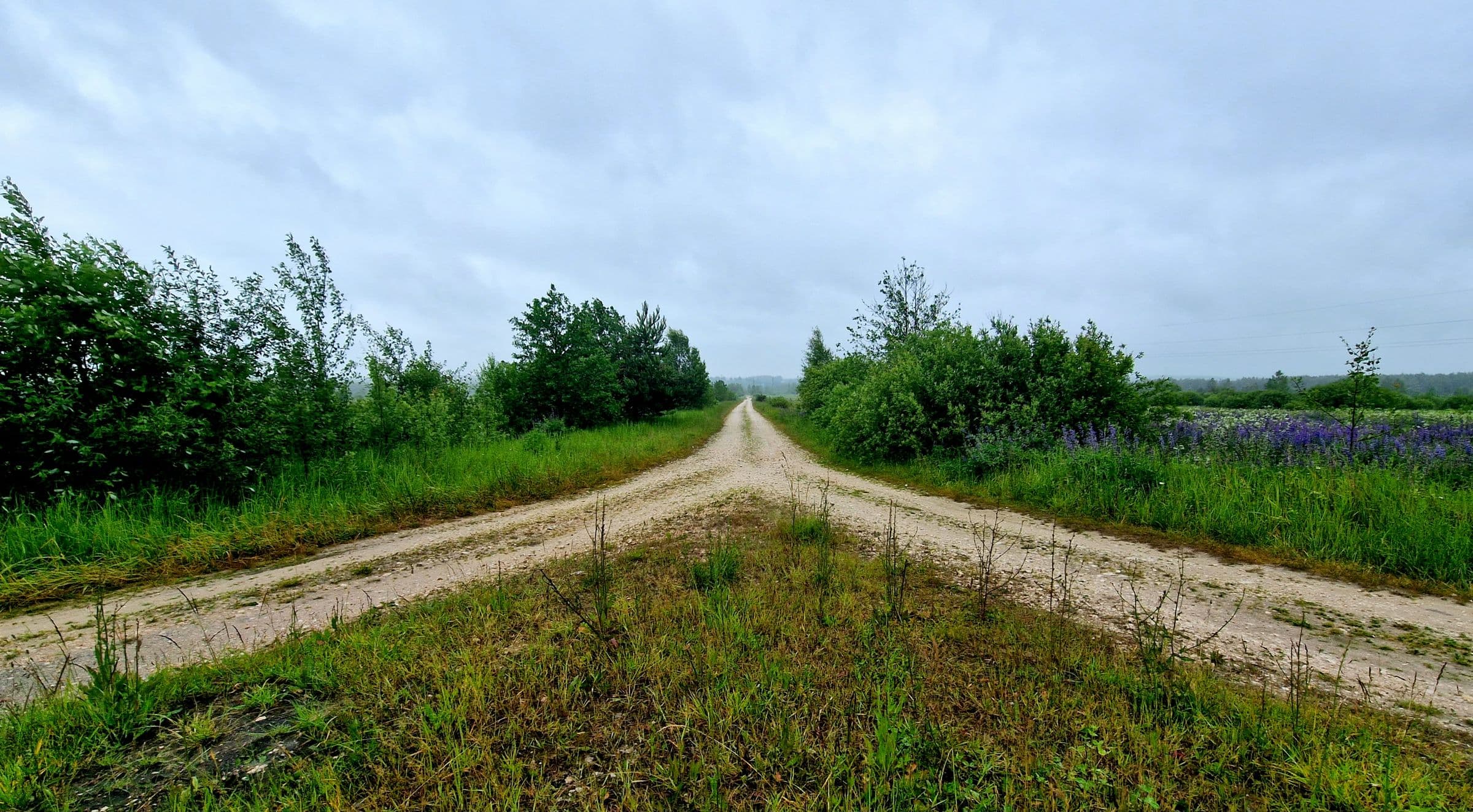A dirt road forking into two under an overcast sky